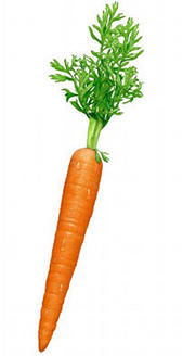La carota è un alimento con vitamina A
