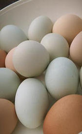 Le uova sono un alimento con vitamina A