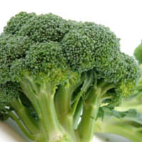I broccoli sono un alimento ricco di vitamina E