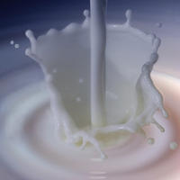 Il latte è un alimento ricco di vitamina B2